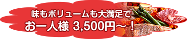 味もボリュームも大満足! 味もボリュームも大満足!