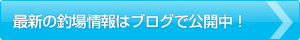 最新の釣場情報はブログでも公開しております